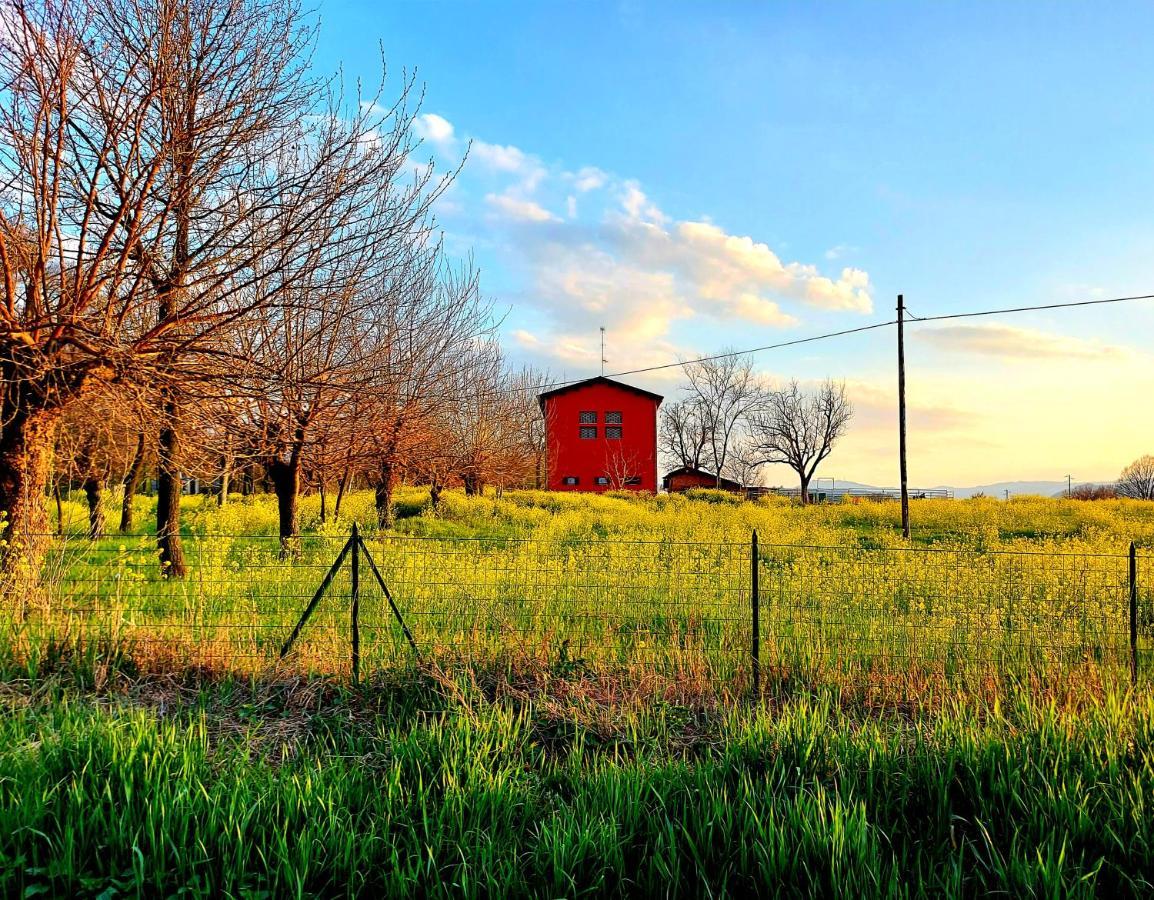 Agriturismo Azienda Agricola Ferrari M.Rita Pozza Eksteriør bilde