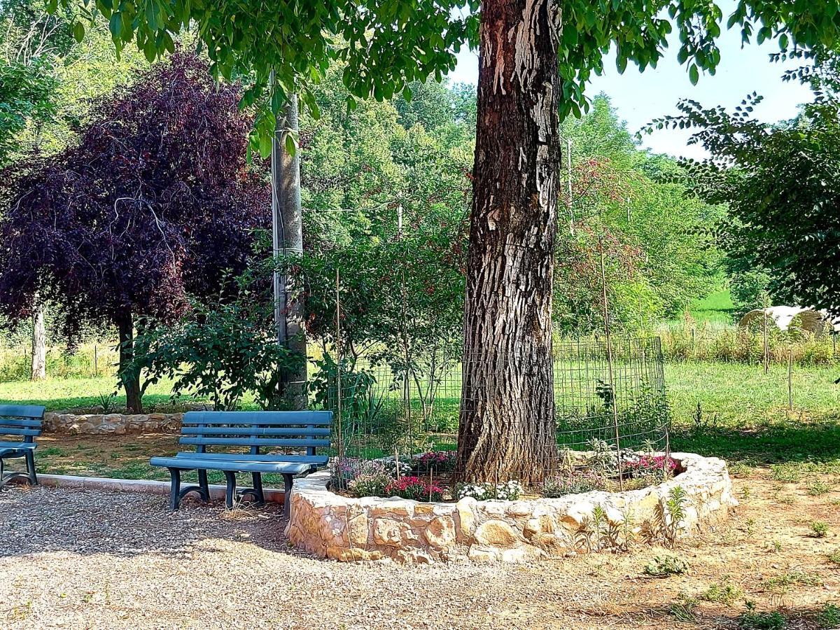 Agriturismo Azienda Agricola Ferrari M.Rita Pozza Eksteriør bilde